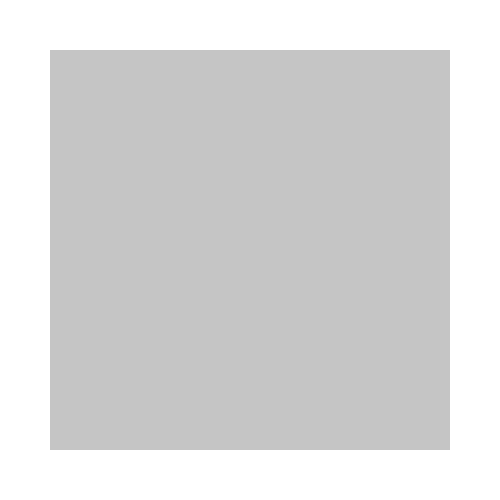 Canvas 1:1